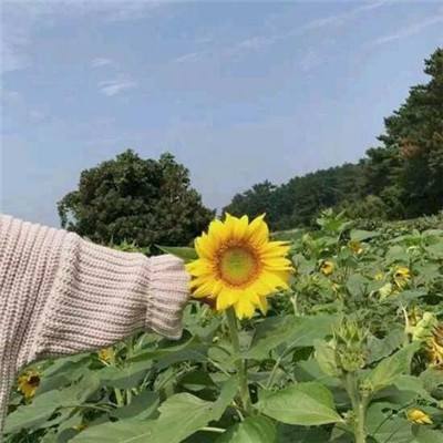 汤姆猫飞车体验服下载