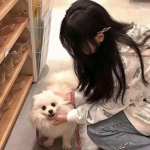 一纸禁令游戏
